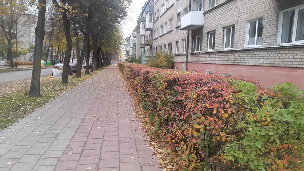 Apartment For You Šiauliai Eksteriør billede